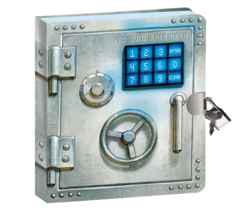 Vault secret diary - secret, boys